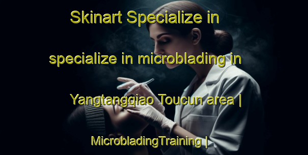 Skinart Specialize in specialize in microblading in Yangtangqiao Toucun area | MicrobladingTraining | MicrobladingClasses | SkinartTraining-China